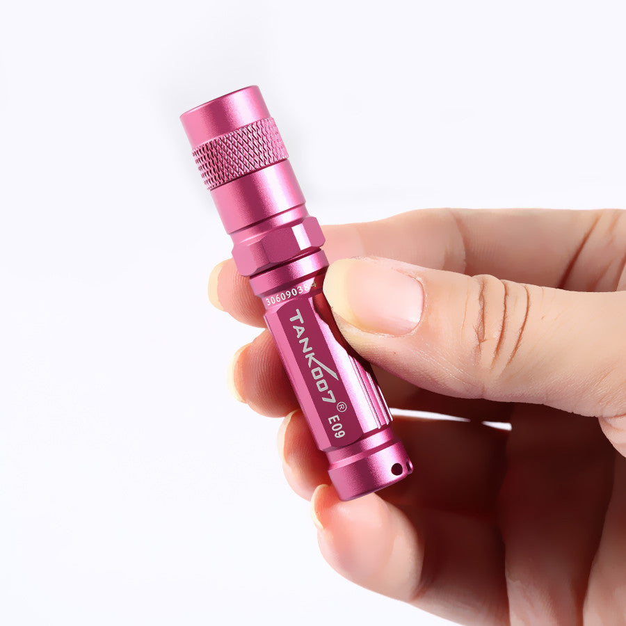 Mini portable gift led keychain flashlight led torch AAA battery TANK007 E09