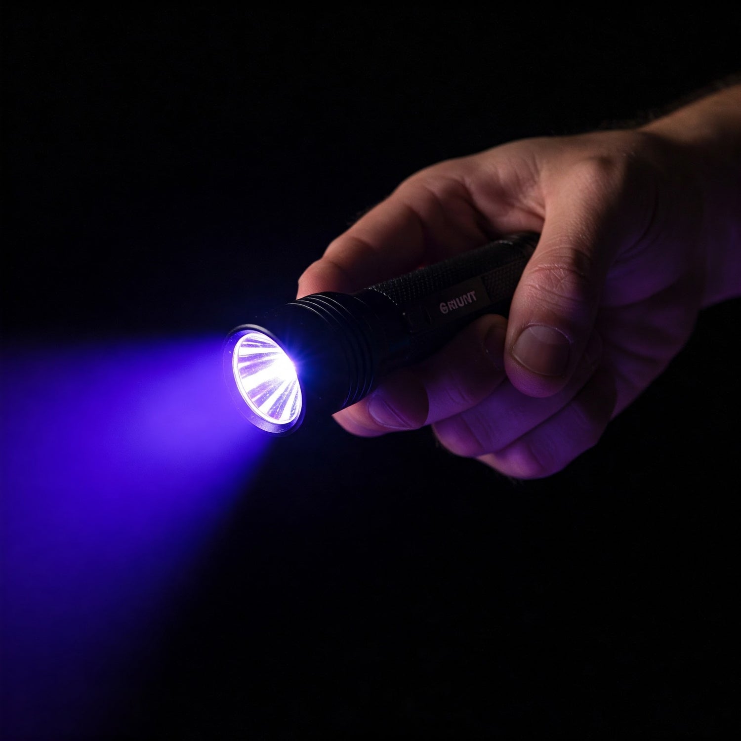 How to Choose the Best UV Flashlight for Pet Stains, Money Detection & Forensics