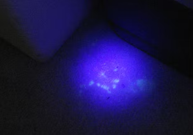 forensic-grade-uv-flashlights-on-the-other-hand.jpg