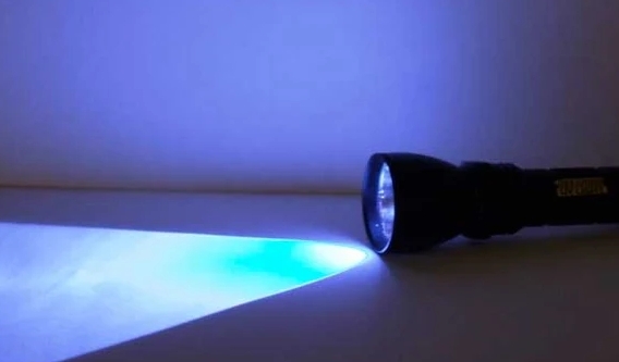 right-uv-flashlight.jpg